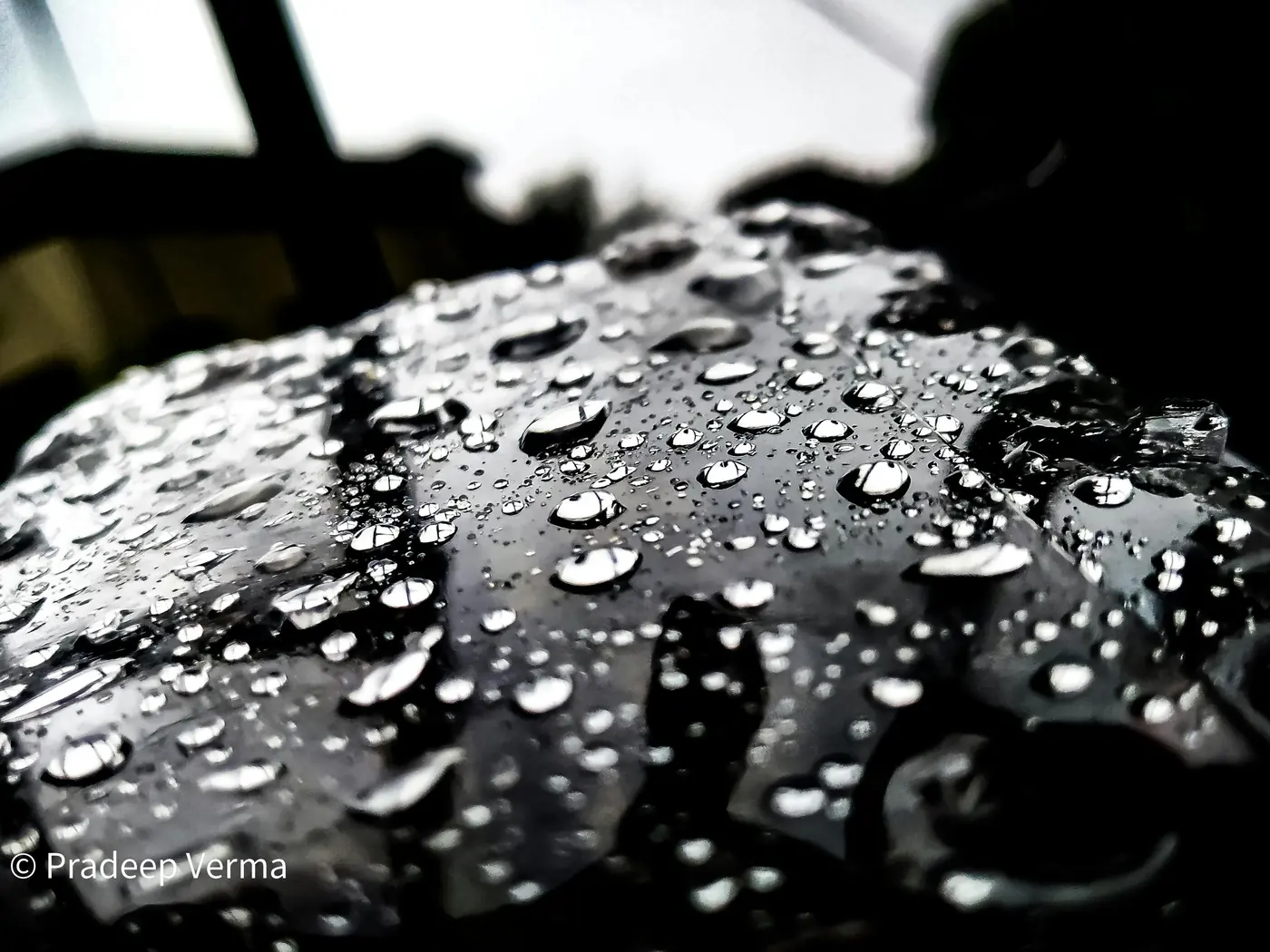 Creșterea Prețurilor la Cafeaua Arabica: Impact și Perspective pentru Consumatori