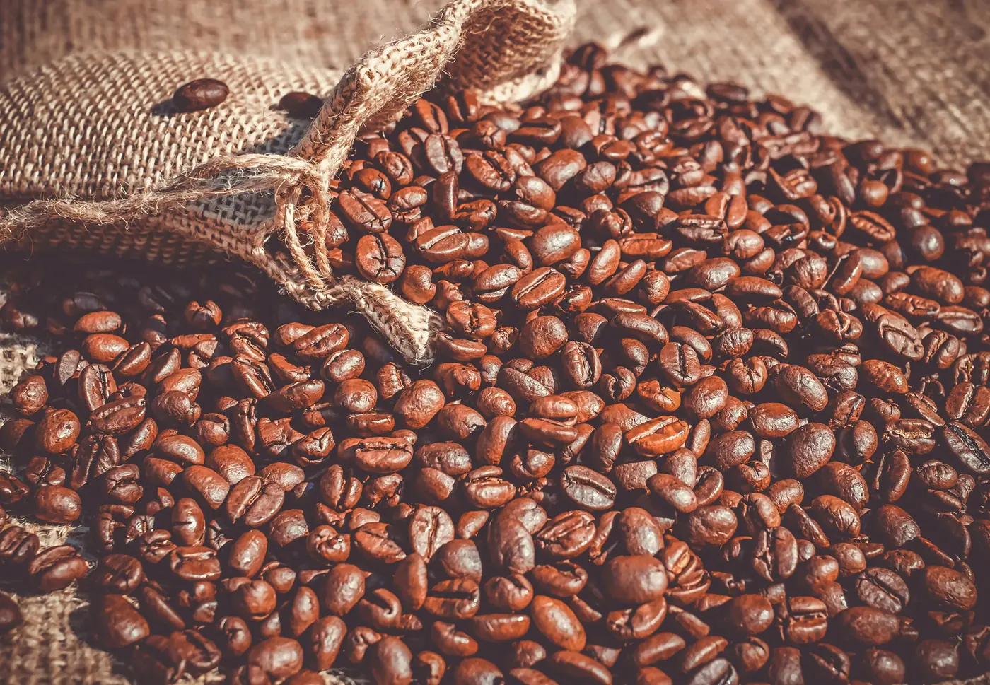Leasing vs Credit vs Fonduri UE pentru Cafenea în 2026: Ghid Complet de Finanțare