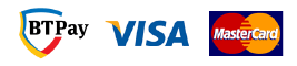 BT Visa Logo